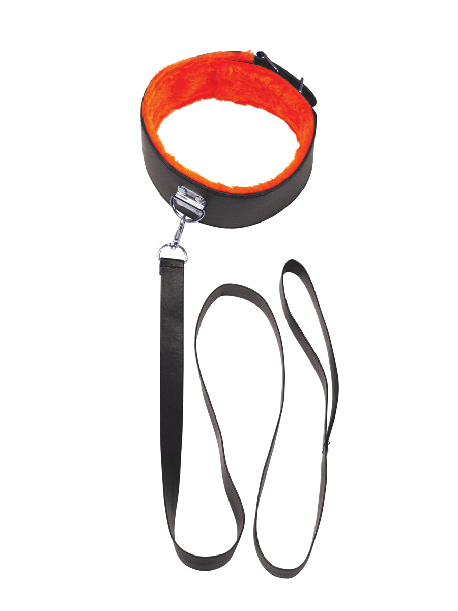 The 9's Orange Is the New Black Short Leash -  Black ICB2319-2